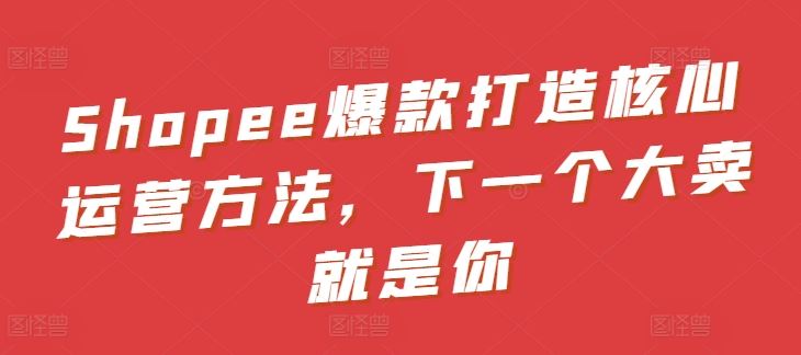 Shopee爆款打造核心运营方法，下一个大卖就是你-耐玩网创