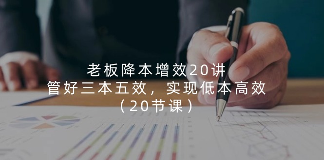 老板降本增效20讲，管好三本五效，实现低本高效（20节课）-耐玩网创