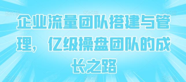 企业流量团队搭建与管理，亿级操盘团队的成长之路-耐玩网创