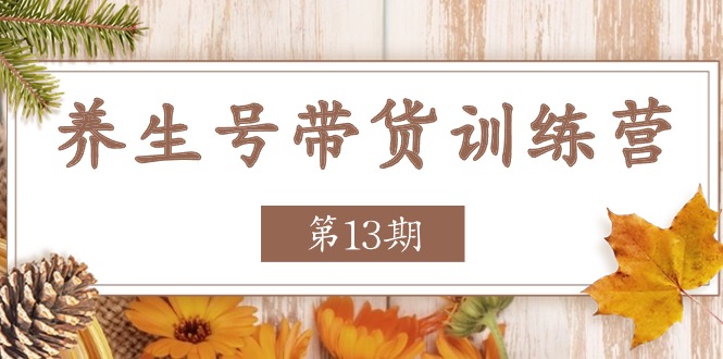 养生号带货训练营【第13期】收益更稳定的玩法，让你带货收益爆炸-耐玩网创