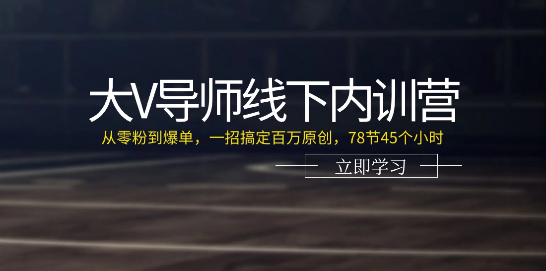 大V导师线下内训营：从零粉到爆单，一招搞定百万原创（78节45个小时）-耐玩网创