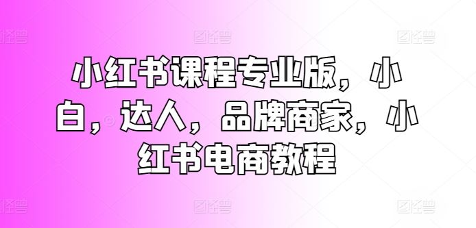 小红书课程专业版，小白，达人，品牌商家，小红书电商教程-耐玩网创