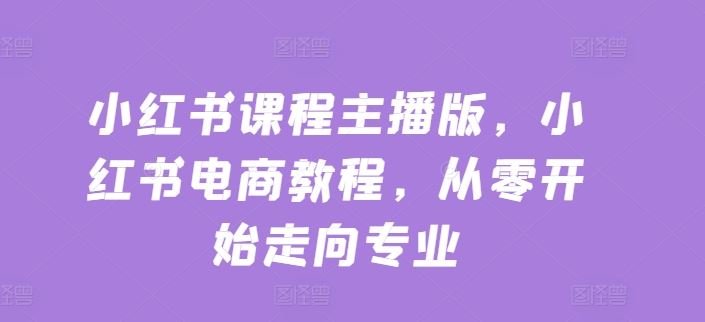 小红书课程主播版，小红书电商教程，从零开始走向专业-耐玩网创