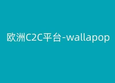 欧洲C2C平台-wallapop-kim跨境电商教程-耐玩网创