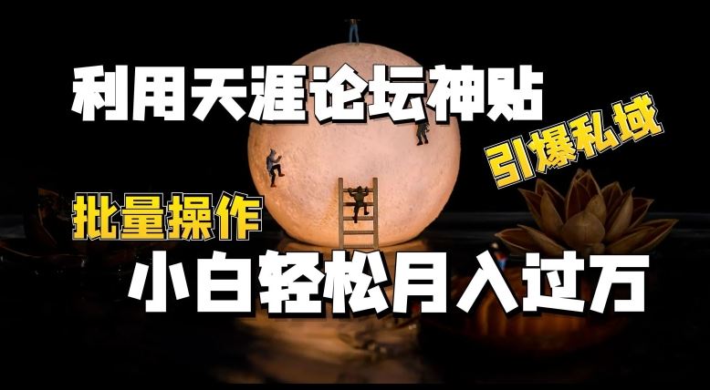 利用天涯论坛神贴，引爆私域，批量操作，小白轻松月入过w【揭秘】-耐玩网创