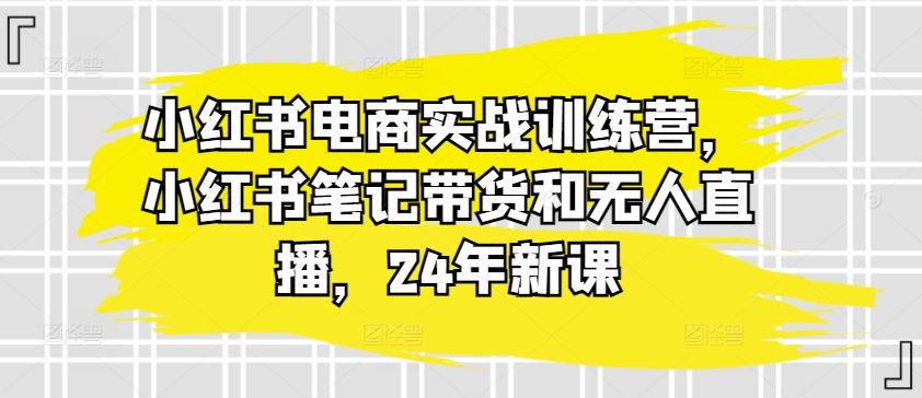 小红书电商实战训练营，小红书笔记带货和无人直播，24年新课-耐玩网创