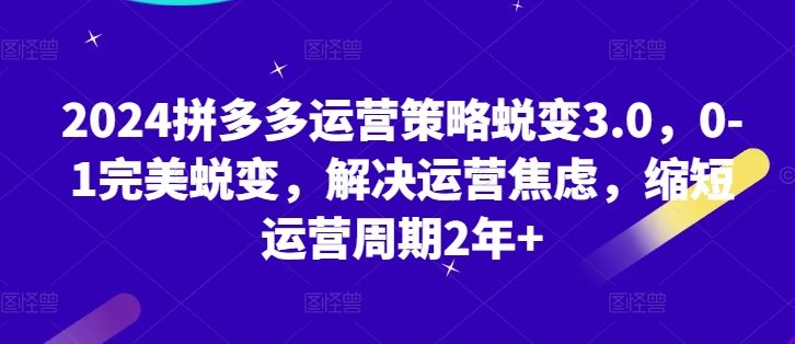 2024拼多多运营策略蜕变3.0，0-1完美蜕变，解决运营焦虑，缩短运营周期2年+-耐玩网创
