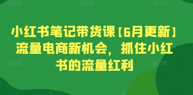 小红书笔记带货课【6月更新】流量电商新机会，抓住小红书的流量红利-耐玩网创