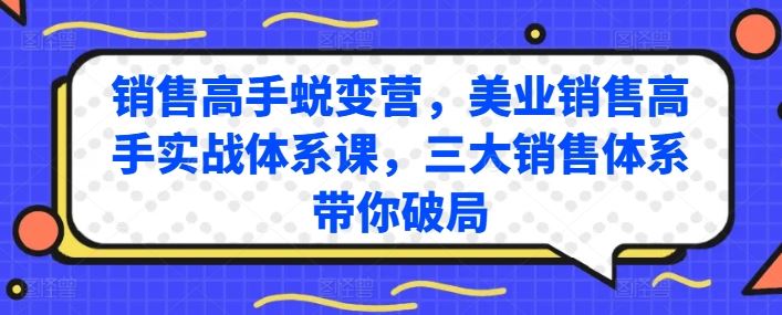 销售高手蜕变营，美业销售高手实战体系课，三大销售体系带你破局-耐玩网创