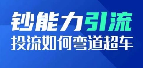 钞能力引流：投流如何弯道超车，投流系数及增长方法，创造爆款短视频-耐玩网创
