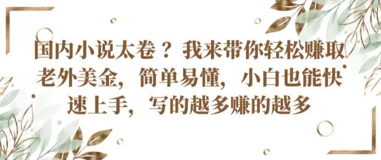 国内小说太卷 ?带你轻松赚取老外美金，简单易懂，小白也能快速上手，写的越多赚的越多【揭秘】-耐玩网创