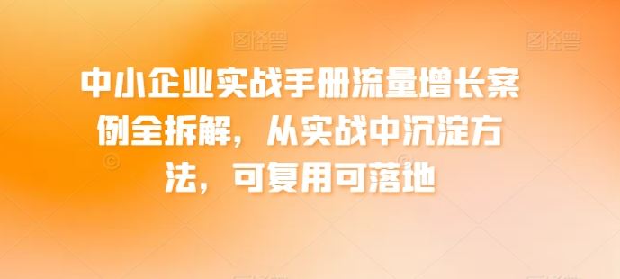 中小企业实战手册流量增长案例全拆解，从实战中沉淀方法，可复用可落地-耐玩网创