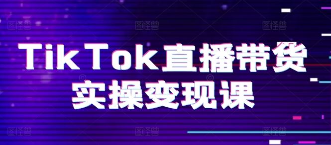 TikTok直播带货实操变现课：系统起号、科学复盘、变现链路、直播配置、小店操作流程、团队搭建等。-耐玩网创