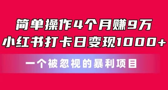 简单操作4个月赚9w，小红书打卡日变现1k，一个被忽视的暴力项目【揭秘】-耐玩网创