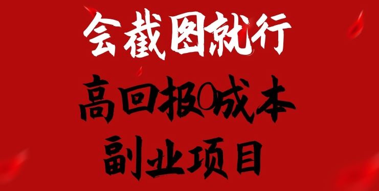 会截图就行，高回报0成本副业项目，卖离婚模板一天1.5k+【揭秘】-耐玩网创