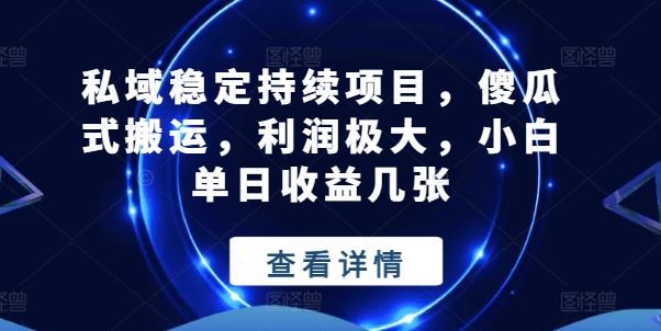 私域稳定持续项目，傻瓜式搬运，利润极大，小白单日收益几张【揭秘】-耐玩网创