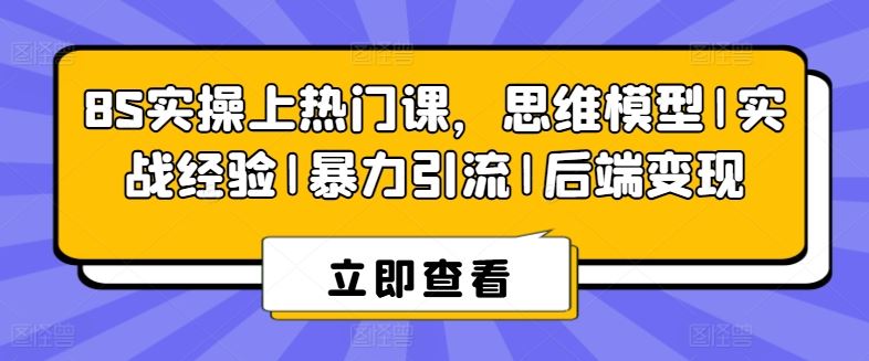 8S实操上热门课，思维模型|实战经验|暴力引流|后端变现-耐玩网创