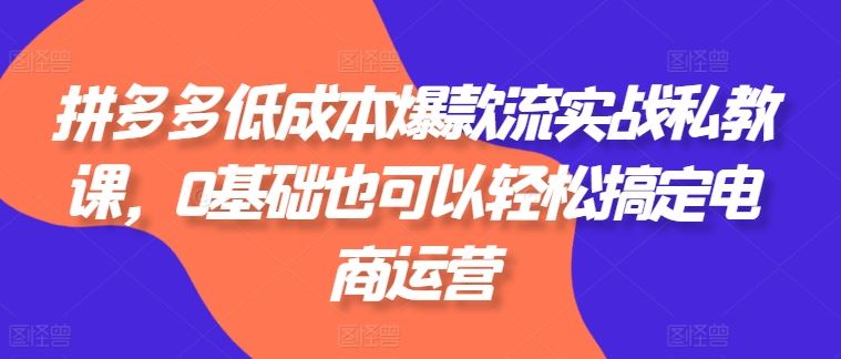 拼多多低成本爆款流实战私教课，0基础也可以轻松搞定电商运营-耐玩网创