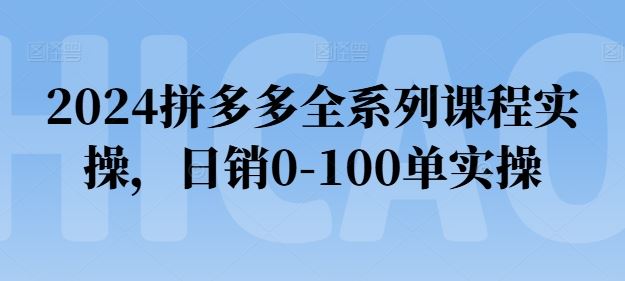 2024拼多多全系列课程实操，日销0-100单实操【必看】-耐玩网创