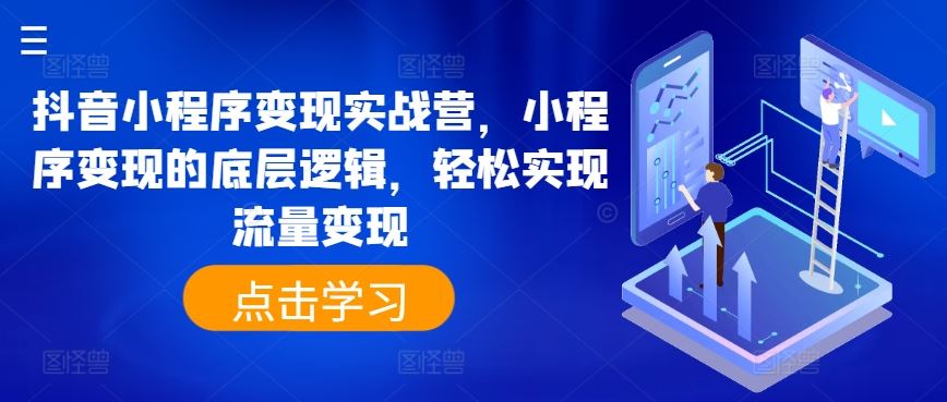 抖音小程序变现实战营，小程序变现的底层逻辑，轻松实现流量变现-耐玩网创