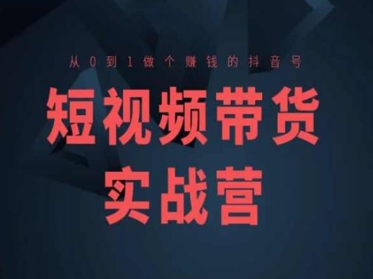 短视频带货实战营(高阶课)，从0到1做个赚钱的抖音号-耐玩网创