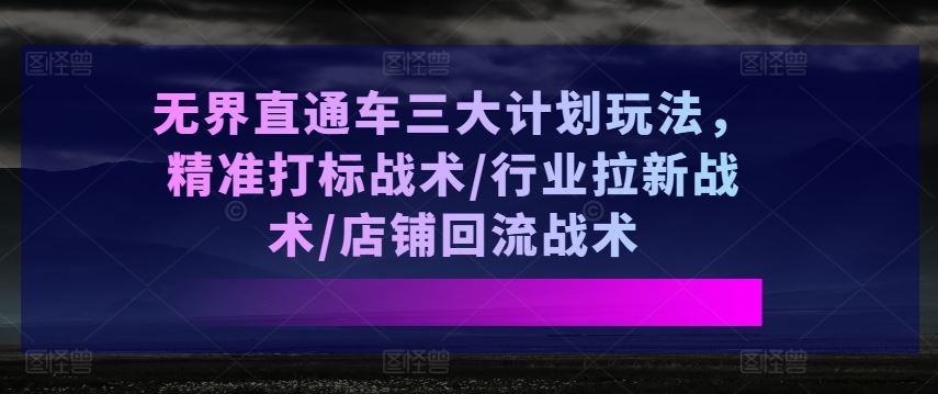 无界直通车三大计划玩法，精准打标战术/行业拉新战术/店铺回流战术-耐玩网创