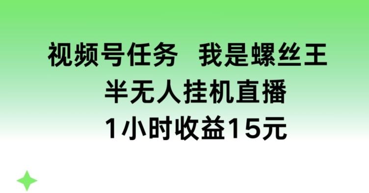视频号任务，我是螺丝王， 半无人挂机1小时收益15元【揭秘】-耐玩网创