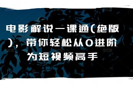 电影解说一课通(绝版)，带你轻松从0进阶为短视频高手-耐玩网创