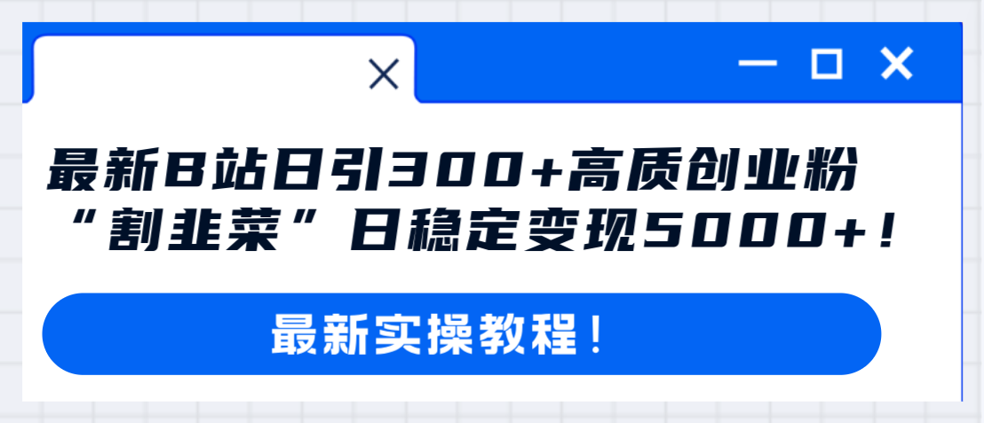 （8216期）最新B站日引300+高质创业粉教程！“割韭菜”日稳定变现5000+！-耐玩网创