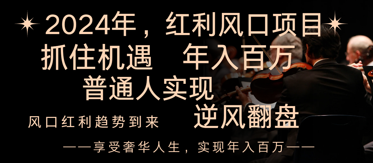 （8418期）2024红利风口项目来袭，享受第一波红利，逆风翻盘普通人也能实现，年入百万-耐玩网创