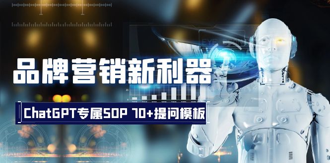 （8403期）品牌营销新利器：ChatGPT专属SOP，70+提问模板-耐玩网创