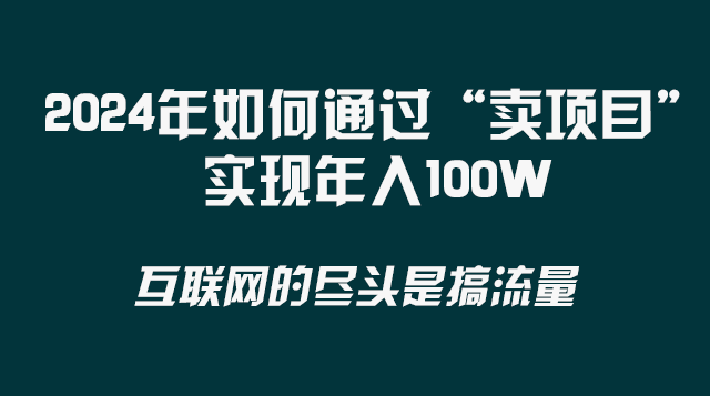 （8382期） 2024年如何通过“卖项目”实现年入100W-耐玩网创