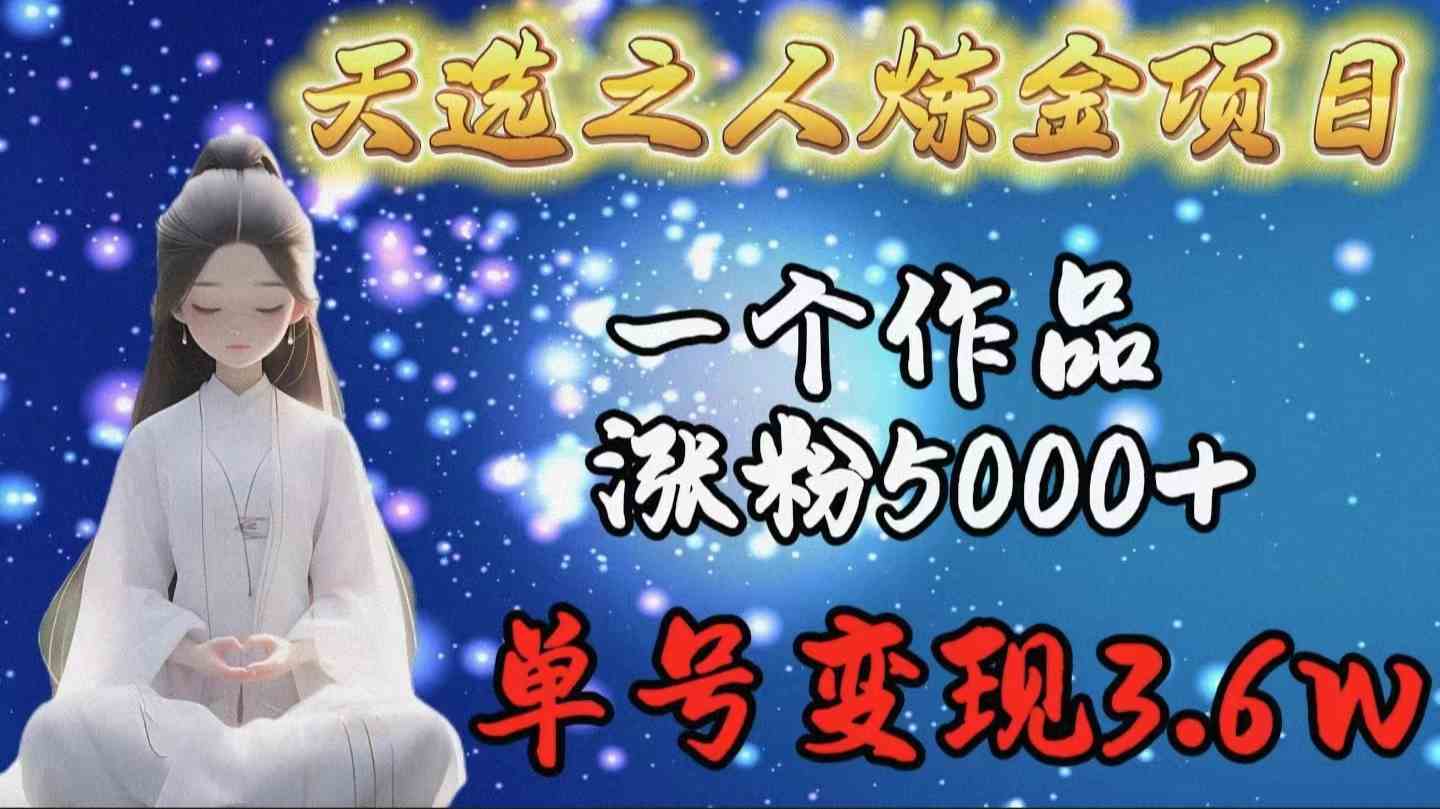 （9693期）天选之人炼金项目，一个作品涨粉5000+，单号变现3.6w-耐玩网创