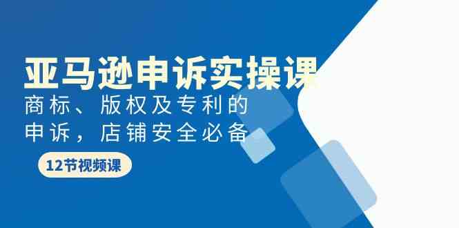 （9754期）亚马逊-申诉实战课，​商标、版权及专利的申诉，店铺安全必备-耐玩网创