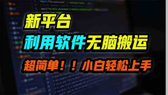 （9745期）新平台用软件无脑搬运，月赚10000+，小白也能轻松上手-耐玩网创