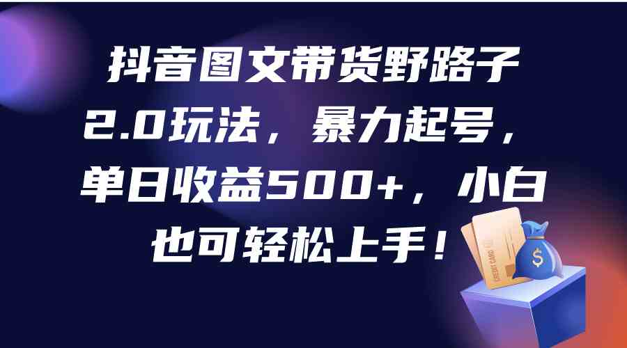 （9790期）抖音图文带货野路子2.0玩法，暴力起号，单日收益500+，小白也可轻松上手！-耐玩网创