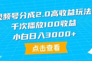 （9716期）视频号分成2.0高收益玩法，千次播放100收益，小白日入3000+-耐玩网创