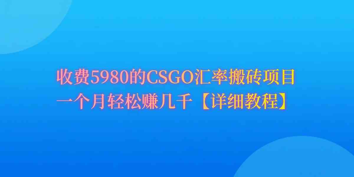 （9776期）CSGO装备搬砖，月综合收益率高达60%，你也可以！-耐玩网创