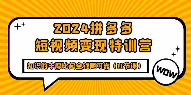 （9817期）2024拼多多短视频变现特训营，知识的丰厚比起金钱更可靠（11节课）-耐玩网创