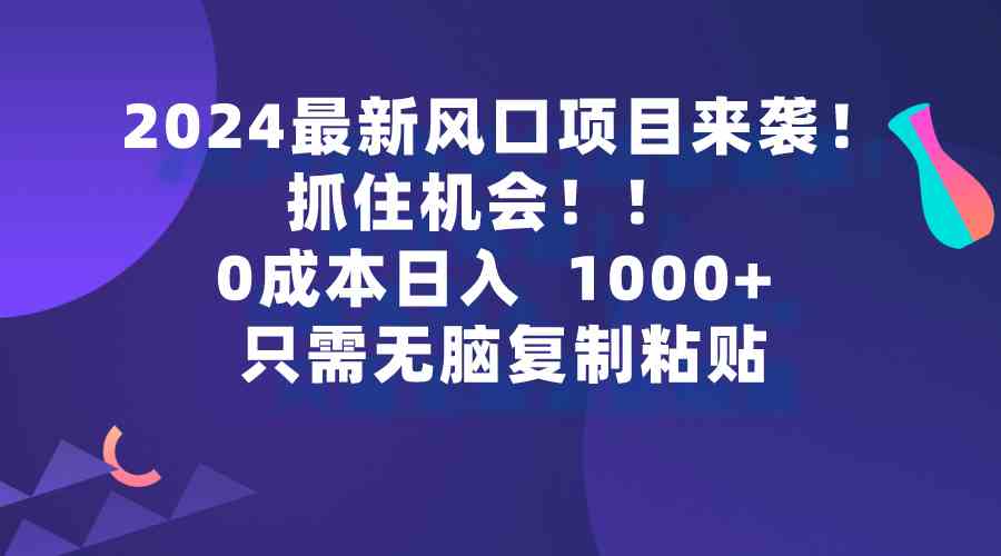 （9899期）2024最新风口项目来袭，抓住机会，0成本一部手机日入1000+，只需无脑复…-耐玩网创