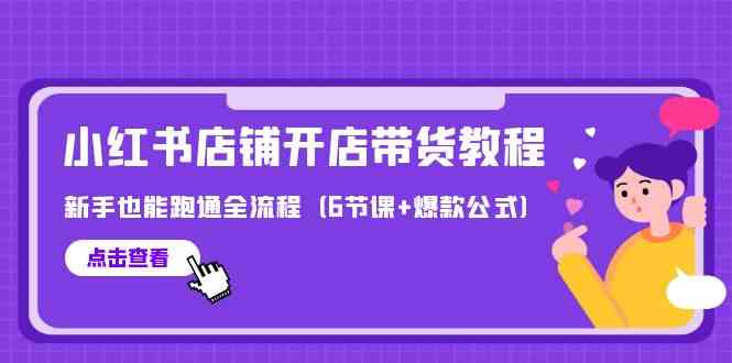 （9883期）最新小红书店铺开店带货教程，新手也能跑通全流程（6节课+爆款公式）-耐玩网创