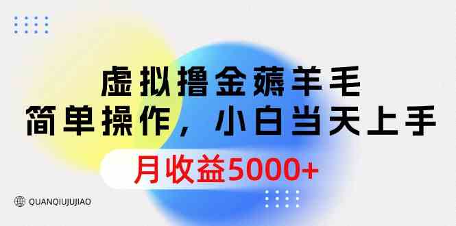 （9864期）虚拟撸金薅羊毛，简单操作，小白当天上手，月收益5000+-耐玩网创