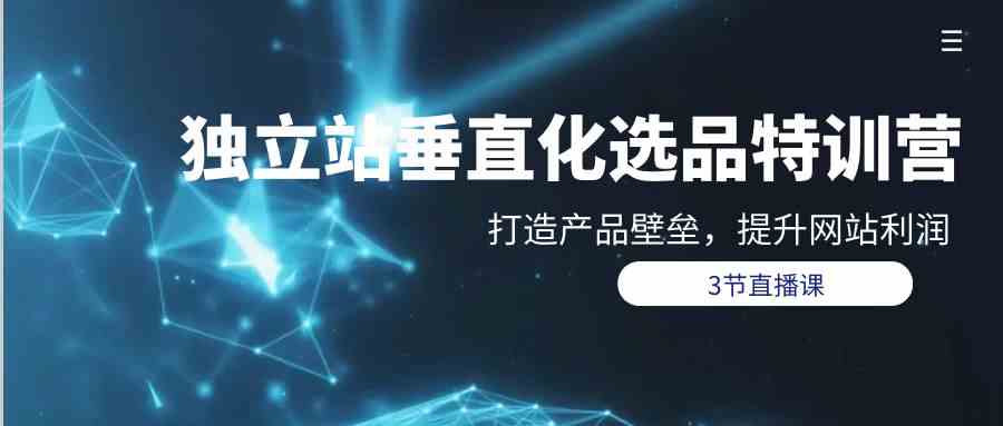 （9925期）独立站-垂直化选品训练营，打造产品壁垒，提升网站利润（3节直播课）-耐玩网创