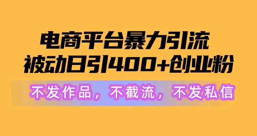 （10168期）电商平台暴力引流,被动日引400+创业粉不发作品，不截流，不发私信-耐玩网创