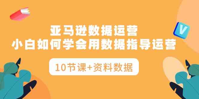 （10158期）亚马逊数据运营，小白如何学会用数据指导运营（10节课+资料数据）-耐玩网创