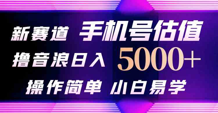 （10154期）抖音不出境直播【手机号估值】最新撸音浪，日入5000+，简单易学，适合…-耐玩网创