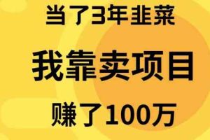 （10149期）当了3年韭菜，我靠卖项目赚了100万-耐玩网创