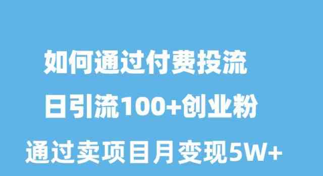 （10189期）如何通过付费投流日引流100+创业粉月变现5W+-耐玩网创