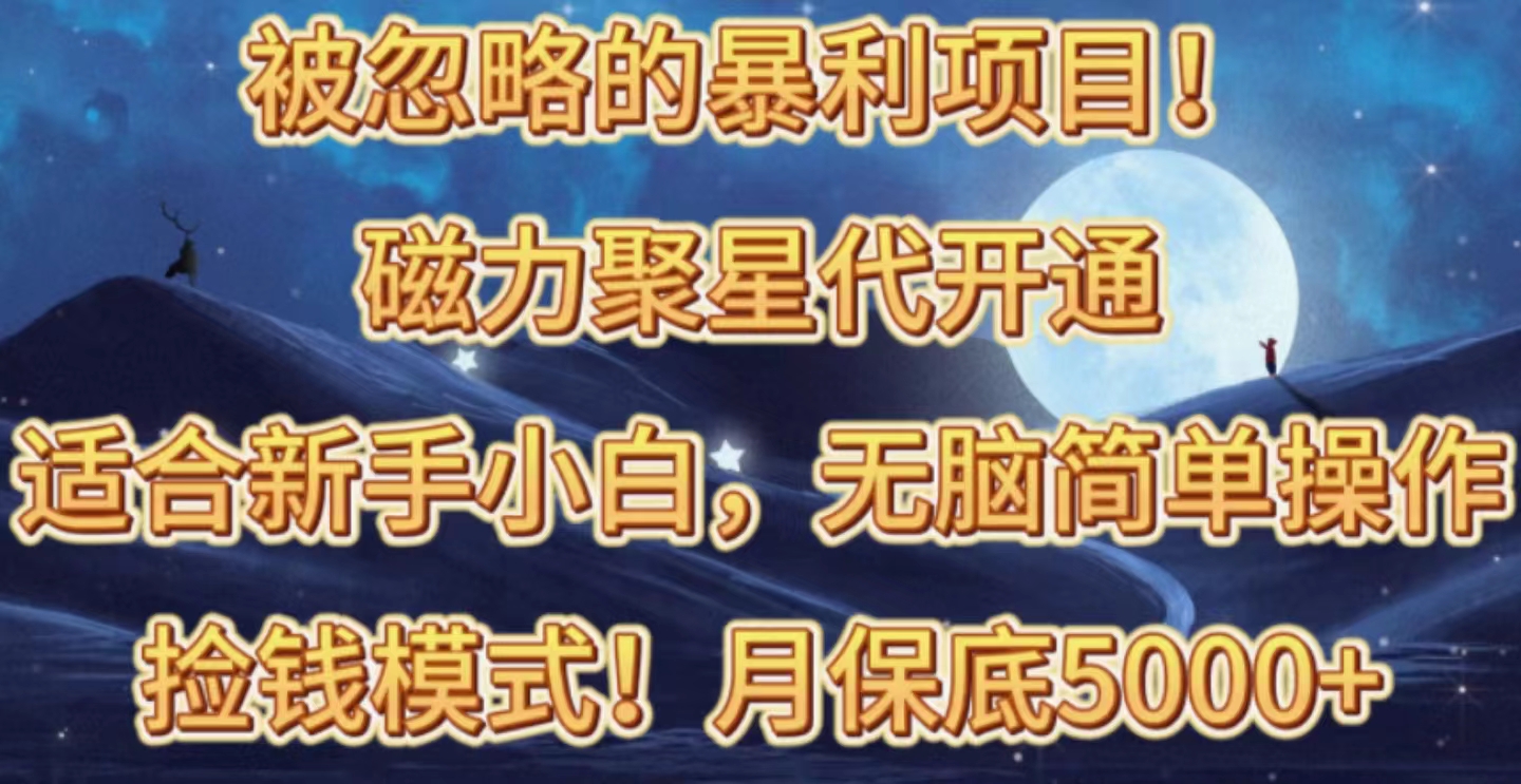 （10245期）被忽略的暴利项目！磁力聚星代开通捡钱模式，轻松月入五六千-耐玩网创