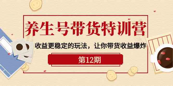 （10110期）养生号带货特训营【12期】收益更稳定的玩法，让你带货收益爆炸-9节直播课-耐玩网创